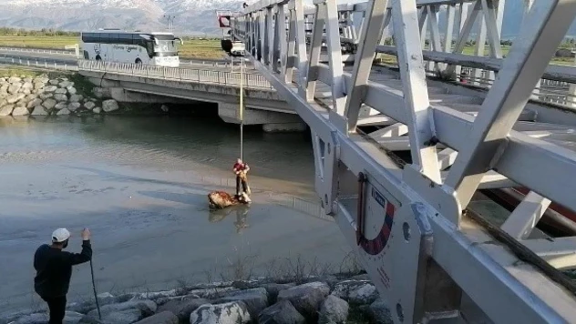 Bataklığa saplanan ineği itfaiye kurtardı