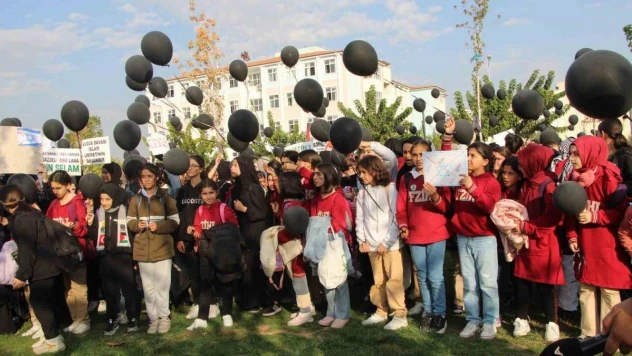 Batman'da Filistinli çocuklar için gökyüzüne siyah balon bırakıldı