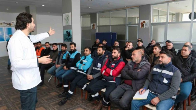 Belediyeler sokak hayvanları için toplandı