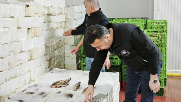 Beyşehir'de balık işletme fabrikalarında boy limiti denetimi