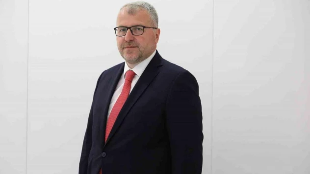 Bilecik'teki köpek katliamına Milletvekili Eldemir'den tepki