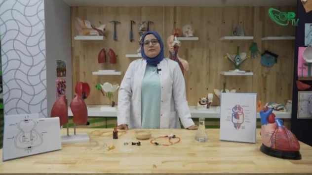 Bilim Gaziosmanpaşa'dan çevrimiçi atölye eğitimleri