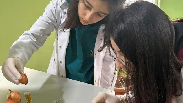 Bilim Merkezi'nden 8 patent başvurusu birden