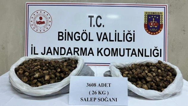 Bir soğan 488 bin 630 Liraya mâl oldu