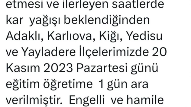 Bingöl'ün 5 ilçesinde okullar tatil edildi