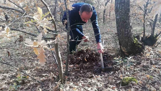Bitkilerde faydalı ve zararlı organizma tespiti yapıldı