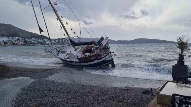 Bodrum'da düzensiz göçmen teknesi karaya vurdu