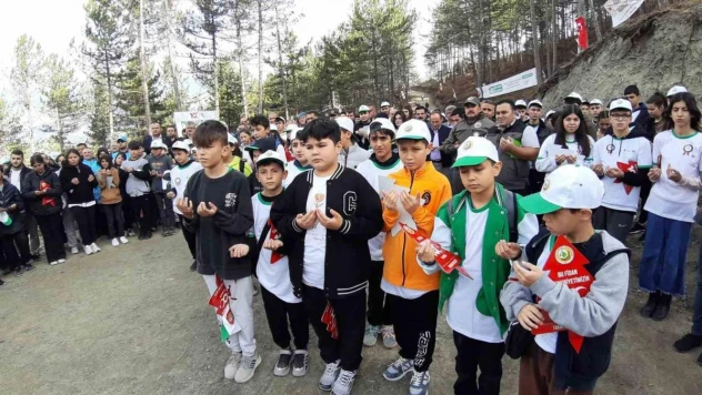 Bolu'da 83 farklı noktada 50 bin adet fidan dikildi