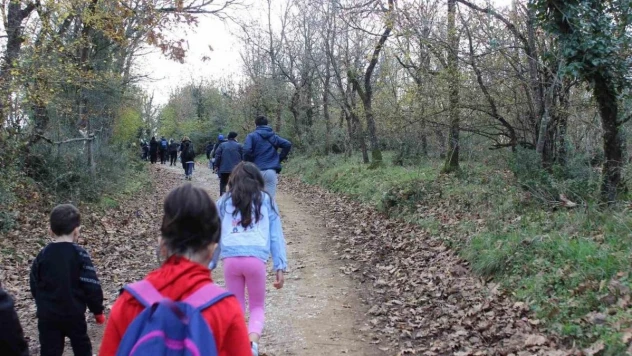 Bu sefer Kent Ormanında yürüdüler