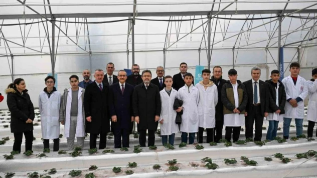 Bu serada 12 ay boyunca hasat mümkün