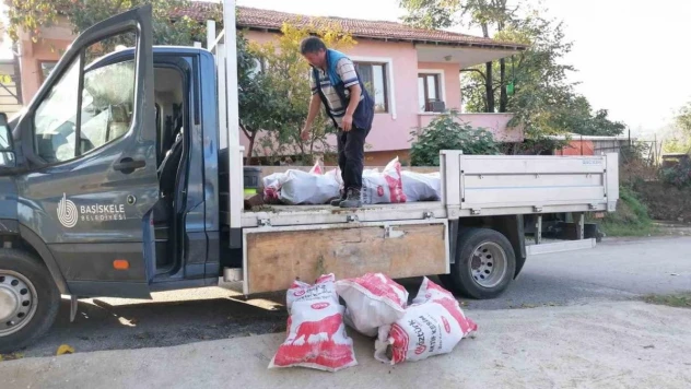 Budanan ağaçlar ihtiyaç sahiplerine yakacak oluyor