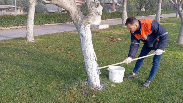 Buharkent Millet Bahçesi yaza hazırlanıyor