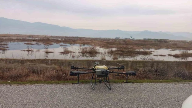 Burhaniye'de uçkunla mücadele hız kazandı