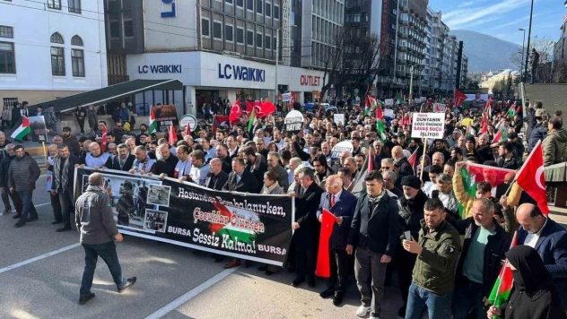 Bursa'da 'Dünya İnsan Hakları Günü' nedeniyle Filistin'e destek için binlerce kişi yürüdü