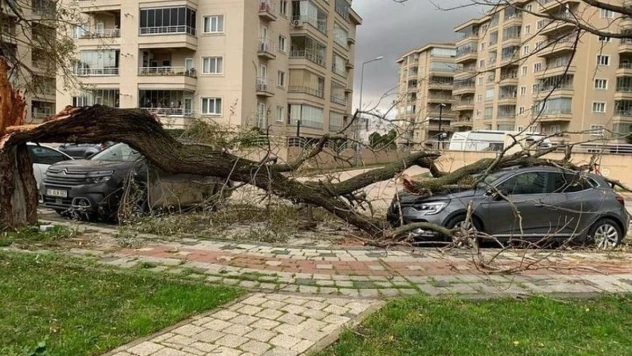 Bursa'da lodos hayatı felç etti: Ağaçları devirdi, çöp konteynerlerini sürükledi