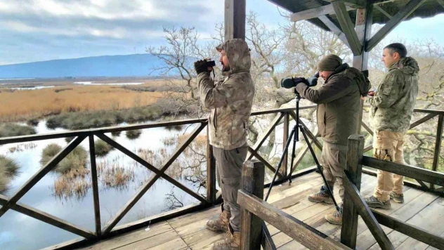 Bursa'daki su kuşları tek tek sayıldı