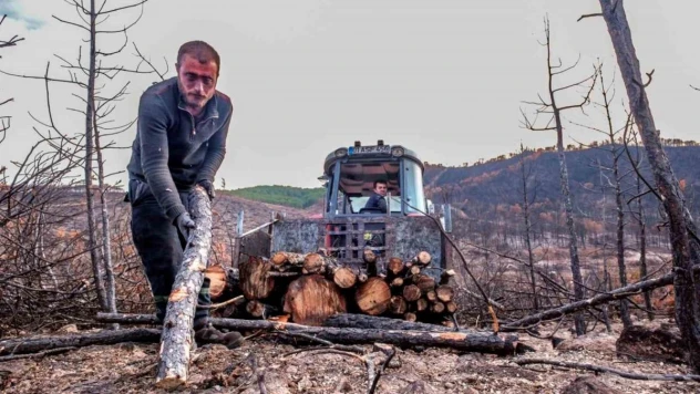 Büyük yangının yaraları sarılıyor