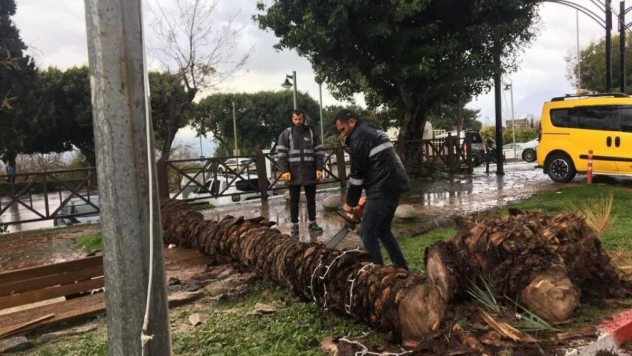 Büyükşehir fırtına için seferber oldu