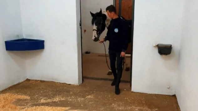 Büyükşehir Spor AŞ 'At Pansiyonu' hizmeti başlattı