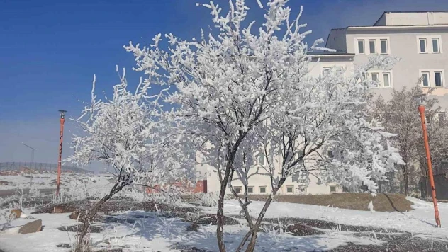 Çaldıran buz kesti