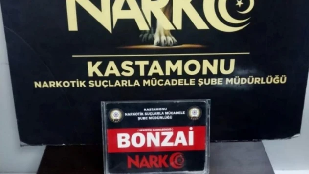 Çankırı'da uyuşturucuyla yakalanan 1 kişi tutuklandı