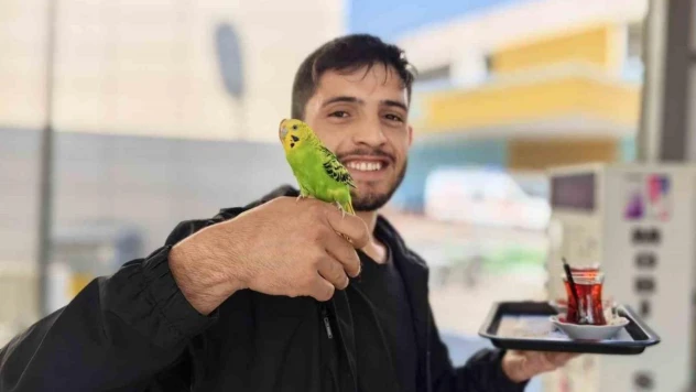 Çay servisi İbiş'ten