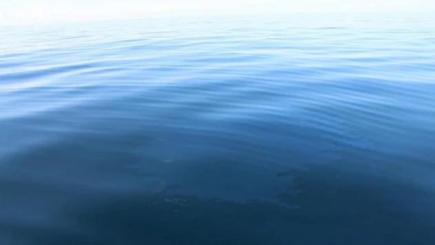 Çayelililerin petrol sevinci