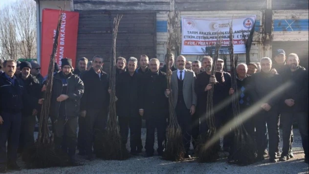 Çiftçilere 12 bin 500 adet ceviz fidanı verildi