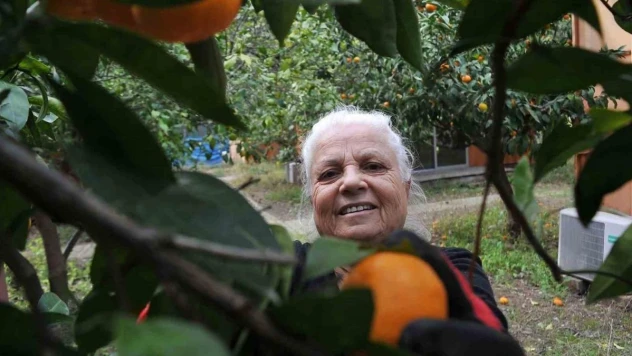 Çocukları gibi baktığı bahçesindeki meyvelerini yetim ve öksüz çocuklara gönderiyor