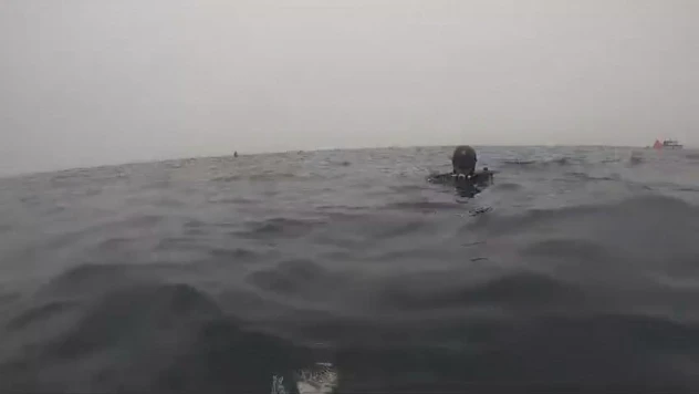 Dalgıçlar kayıp mürettebatı aramak için midye çiftliğine dalış yaptı