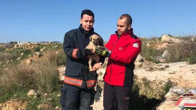 Definecilerin kazdığı kuyuya düşen köpek itfaiye ekiplerince kurtarıldı