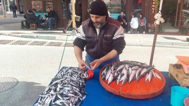 Denizden çıkan balık azaldı, fiyatlar arttı