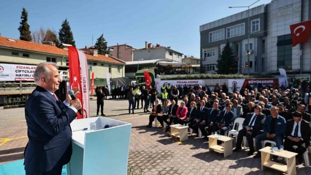 Denizli'de 14 ilçede 240 bin zeytin fidanı toprakla buluşacak