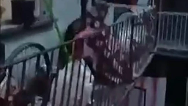 Denizli'de aranan şüpheli balkondaki örtünün altından çıktı