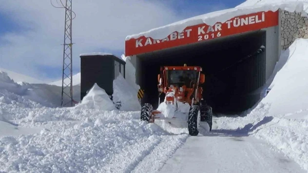 Dicle Nehri'nin çatısını oluşturan Bahçesaray ve Çatak çaylarındaki su seviyesi düştü