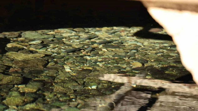 Diyarbakır'da 'Balıklıgölü' andıran görüntü