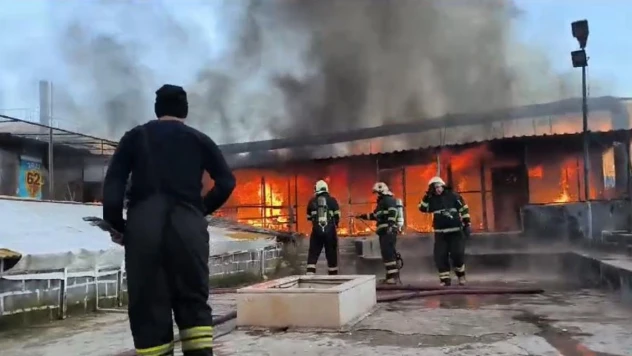 Diyarbakır'da 2 milyon TL değerindeki 600 güvercin alevler içinde telef oldu