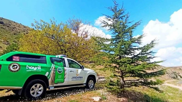 Durdurulan araçtan ölü kuşlar çıktı, araç sahibine 71 bin ceza yazıldı