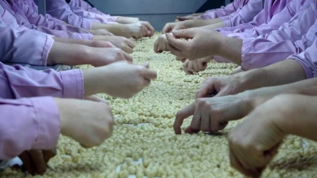 Düzce'den AB ülkelerine 2 bin 835 ton fındık ihraç edildi