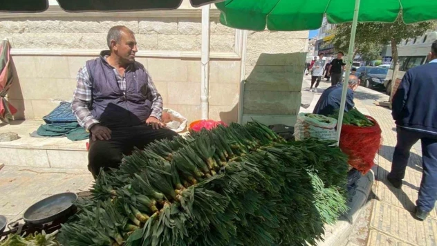 Elazığ'da çiriş otu tezgahlarda yerini aldı