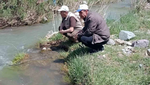 Elazığ'da Hazar İnci ve Siraz Balığı izleme çalışması yapıldı