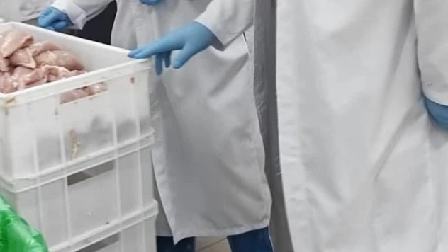 Elazığ'da kanatlı kesimhanelerine denetim