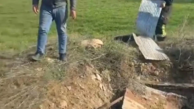 Elazığ'da kuyuya düşen ineği itfaiye kurtardı