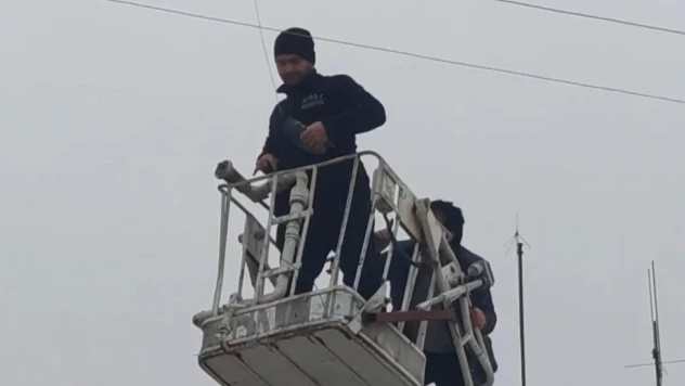 Elektrik teline takılan güvercin kurtarılarak doğaya salındı