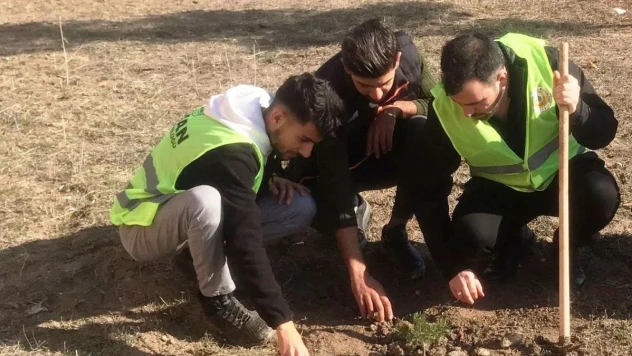 Emet MYO'da fidan dikim etkinliği