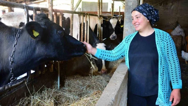 Engelli ve eski hükümlü hibe desteği başvuruları başladı