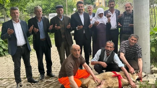 Muşlu nine Erdoğan kazandı diye koç kestirdi