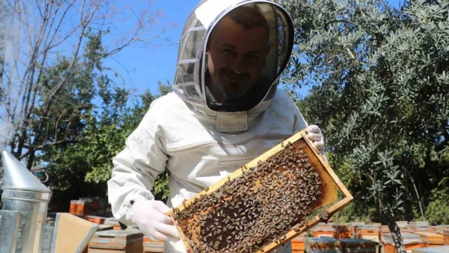 Erken gelen baharla birlikte başlayan bal mesaisi depremzede arıcıya umut verdi
