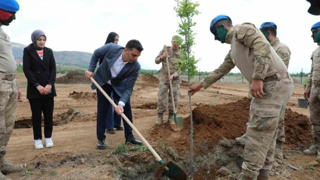 Erzincan'da fidanlar toprakla buluştu