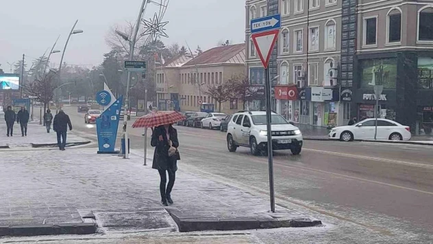Erzurum'da kar yağışı etkili oluyor